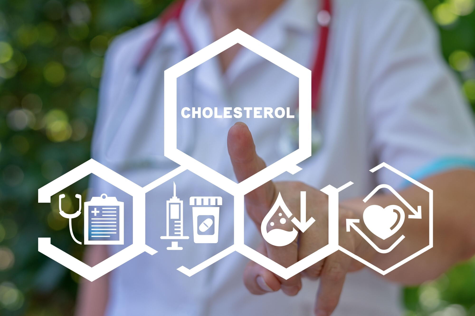 Cholesterin - Das Gute und Schlechte?!